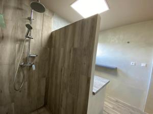 勒马兰CAP 8的带淋浴的浴室和木墙