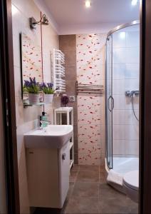 卡尔帕奇Apartament Evita的浴室配有卫生间、盥洗盆和淋浴。