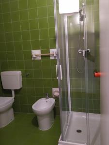 龙基德伊莱焦纳里道奇旅馆的绿色瓷砖浴室设有卫生间和淋浴。