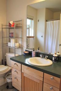 胡德里弗Hood River Family Vacation Home的一间带水槽和卫生间的浴室