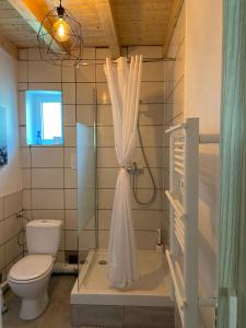 RiedisheimLe Noyer: Petit chalet cosy proche de Mulhouse的浴室设有卫生间和带浴帘的淋浴。