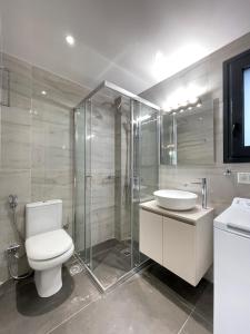 雅典Modern Apartments near Marina Flisvos的浴室配有卫生间、盥洗盆和淋浴。