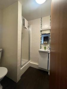 彼得利贝尔宾馆的带淋浴、卫生间和盥洗盆的浴室