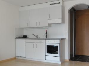 里德维斯一室公寓的厨房或小厨房