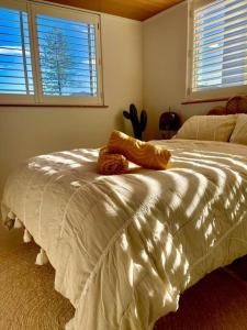 黄金海岸Chic beachside getaway 2BR 2Bath Fully Equipped的卧室配有一张白色大床和两个窗户