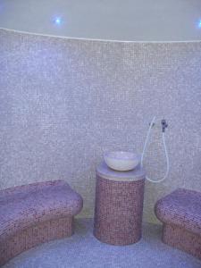 费马恩博物馆霍夫公寓式酒店的客房内设有带水槽和淋浴的浴室