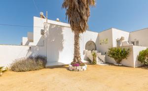 纳克索乔拉Casa Verde Di Naxos的白色建筑前的棕榈树