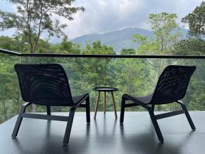 维特利Flora Vythiri Resort的窗前的两把椅子和一张桌子