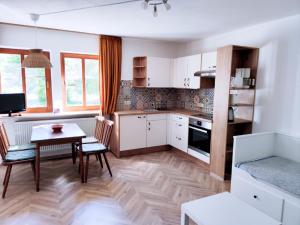 HERRNMÜHLE - Pension & Ferienwohnungen的厨房或小厨房