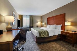 尤里卡洪堡湾舒适酒店 - 尤里卡的配有一张床和一张书桌的酒店客房