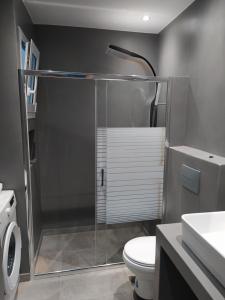 埃尔米奥尼Armonia - Brand new apartment in Ermioni Village的带淋浴、卫生间和盥洗盆的浴室