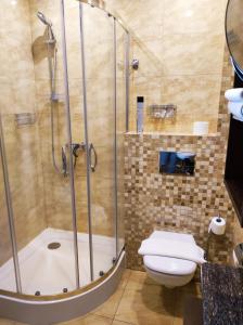 卢布林地区托马舒夫Dworek Dąbrowa的带淋浴、卫生间和盥洗盆的浴室