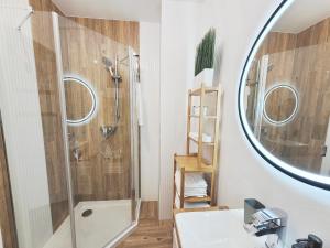 绿山城Apartament Silesia的带淋浴、盥洗盆和镜子的浴室