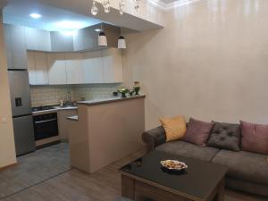 博尔若米Apartment Likani的带沙发的客厅和厨房