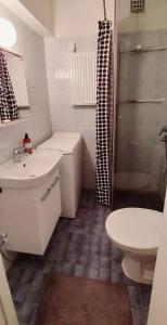 约恩苏Spacious studio apartment near the center of Joensuu的浴室配有卫生间、盥洗盆和淋浴。