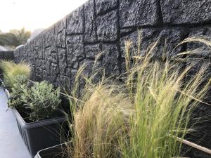 卡马利Dragonfly Villas的挡墙,有植物和草