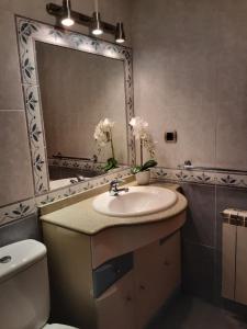 里瓦德塞利亚Sellamante2的一间带水槽、镜子和卫生间的浴室