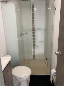 佩雷拉Apartasuite 01的一间带卫生间和玻璃淋浴间的浴室