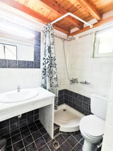 考考纳里斯Haris apartments的浴室配有盥洗盆、卫生间和浴缸。