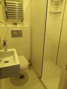 伊斯坦布尔加斯特酒店的浴室配有卫生间、淋浴和盥洗盆。