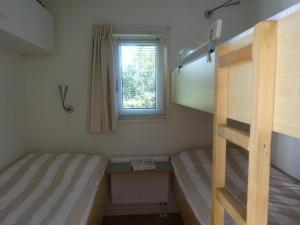 比伦De Boomhut的一间卧室设有两张双层床和一扇窗户。