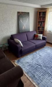 布拉河畔的海登海姆FeWo Heidenheim Bluewall的客厅配有紫色沙发和蓝色地毯。