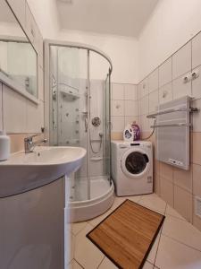 米什科尔茨Vintage Apartman in city center的一间带水槽和洗衣机的浴室