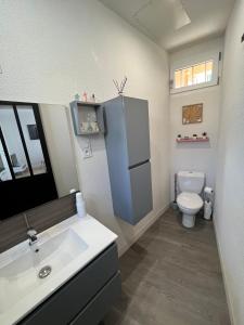 克莱蒙费朗Spacieux Marx Dormoy avec parking gratuit C的浴室配有白色水槽和卫生间。