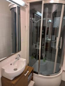 瓦尔加Old Town Apartment的一间带水槽和淋浴的浴室