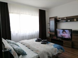 克卢日-纳波卡Aparthotel Laura的一间卧室配有一张床,并在一间客房内配有电视。