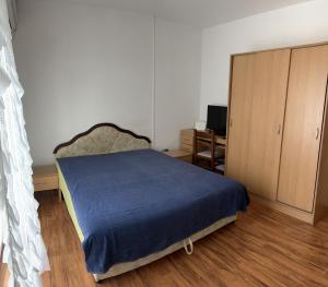 科托尔Apartman Savo的一间卧室配有一张床、一个橱柜和一张书桌