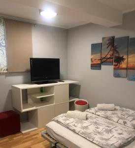 卢布尔雅那Apartment Red Square的客房设有两张床和一台平面电视。