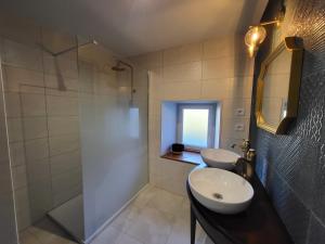 Taurignan-VieuxGîte PRAT NAOU - PYRENNEES ARIEGEOISES的浴室配有盥洗盆和带镜子的淋浴
