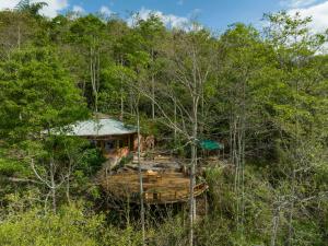 乔阿奇Chalets HUITACA的树林中房屋的空中景观