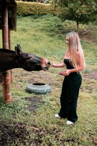 马尼萨莱斯Chamí Glamping的女人在田里喂马