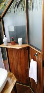 埃雷迪亚Cristal House Mountain View的一间带水槽和窗户的小浴室