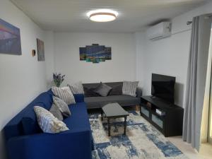 KornosAchilles Heel的客厅配有蓝色的沙发和电视