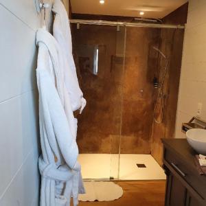 萨尔特-雷斯温泉毗卢赛住宿加早餐旅馆的浴室设有淋浴,墙上挂着毛巾