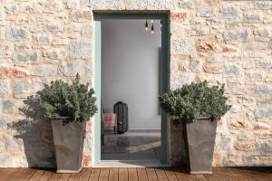 伊西翁The Olive Yard的石墙前有两株盆栽植物的敞门