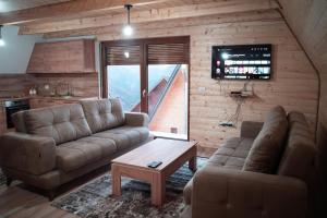 佩奇Villa Route Rugove的客厅配有两张沙发和一台电视机