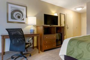 哈里森哈里森品质酒店的酒店客房配有一张床、一张书桌和一台电视。