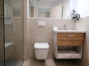 蒂米什瓦拉Casa La Fayette的浴室配有卫生间、盥洗盆和淋浴。