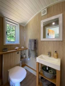 切斯特Little Idyll shepherds hut的一间带卫生间、水槽和镜子的浴室