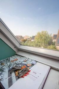 德哈恩Zalig Cosy appartement 2-4 pers.fietsen & tuin的鸟坐在书顶上的窗户