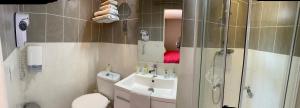 马瑟伊兰LOGIS Hôtel La Chaumière的浴室配有卫生间、盥洗盆和淋浴。
