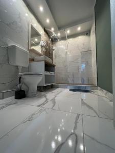 萨拉热窝Guest House Time Out的白色的浴室设有卫生间和淋浴。
