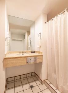 阿瓜斯卡连特斯弗朗西亚阿瓜斯卡连特斯酒店的一间带水槽和镜子的浴室