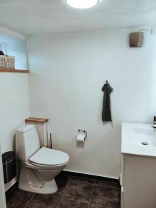 比伦德Landstedet Billund的一间带卫生间和水槽的浴室