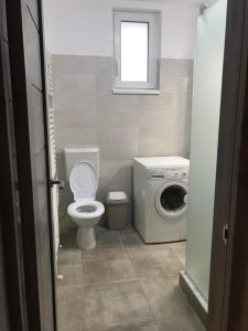 克卢日-纳波卡Gigi Apartment的一间带卫生间和洗衣机的浴室