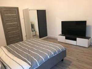 克卢日-纳波卡Gigi Apartment的一间卧室配有一张床和一台平面电视